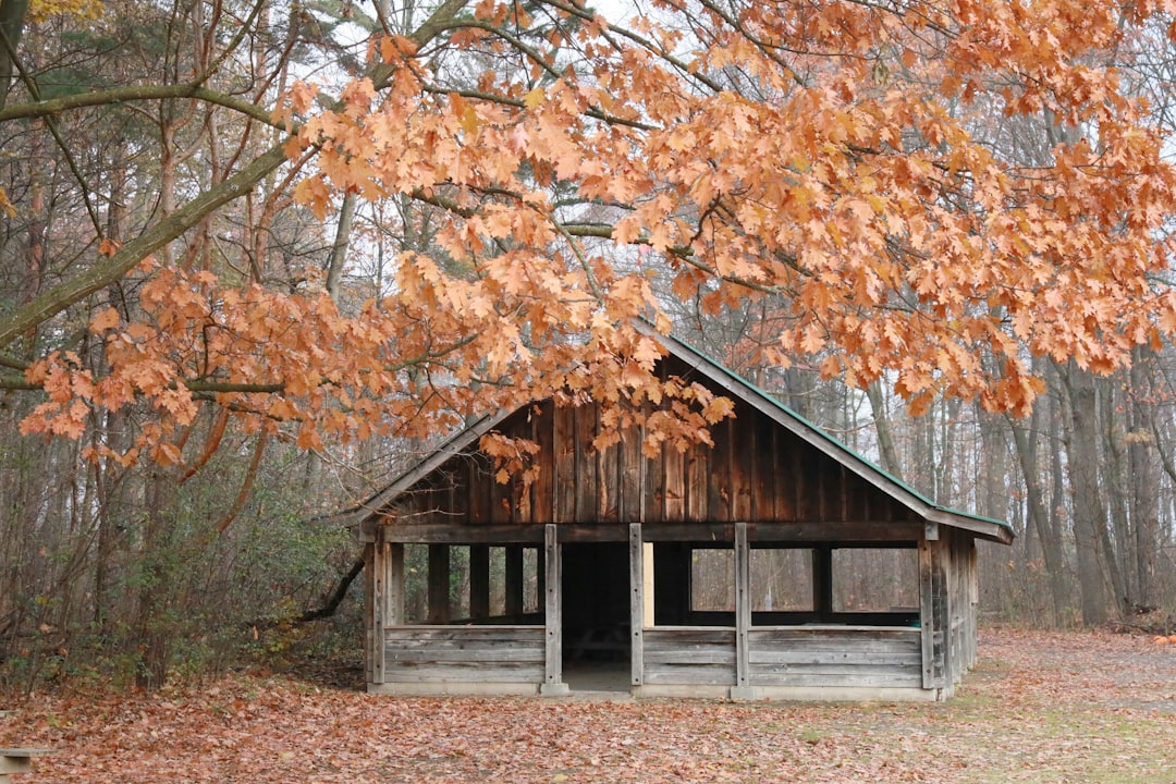 Shelter & Construction